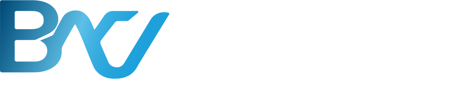 Bizwave Logo